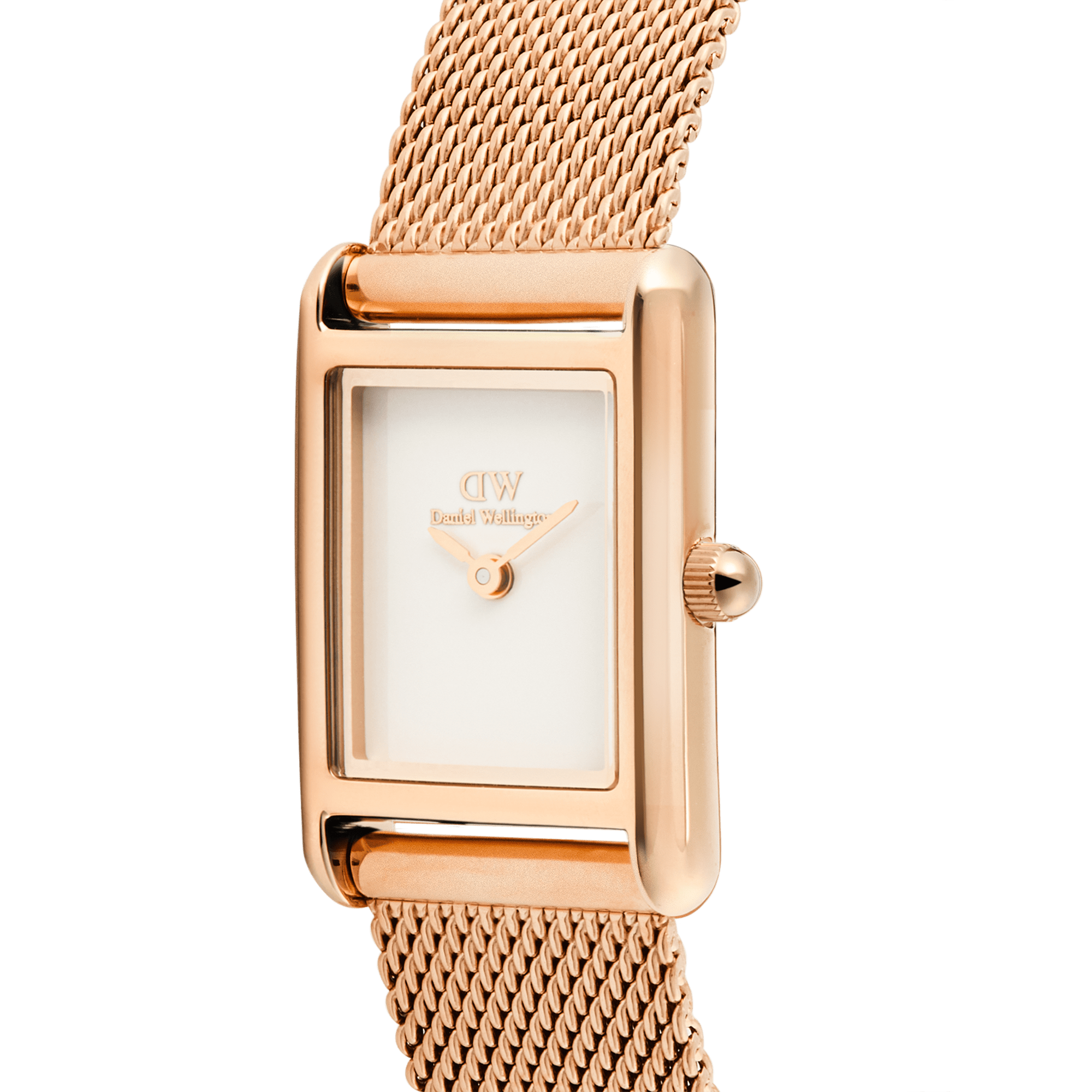 Daniel Wellington Bound Mini Melrose