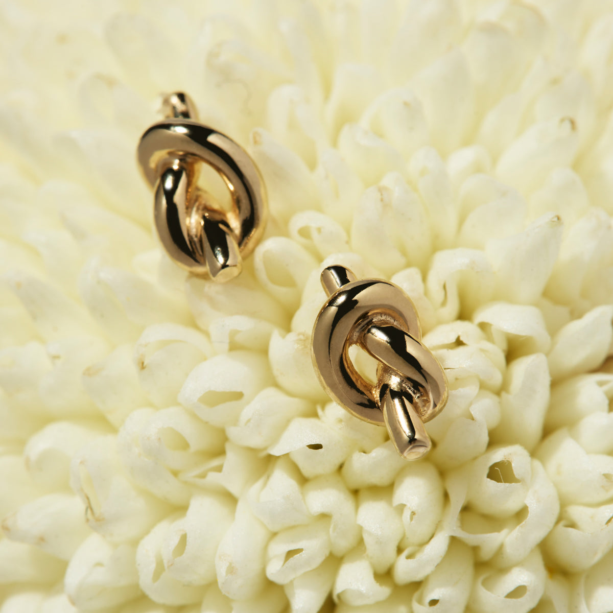 Najo Nature’s Knot Stud Earrings - Yellow Gold