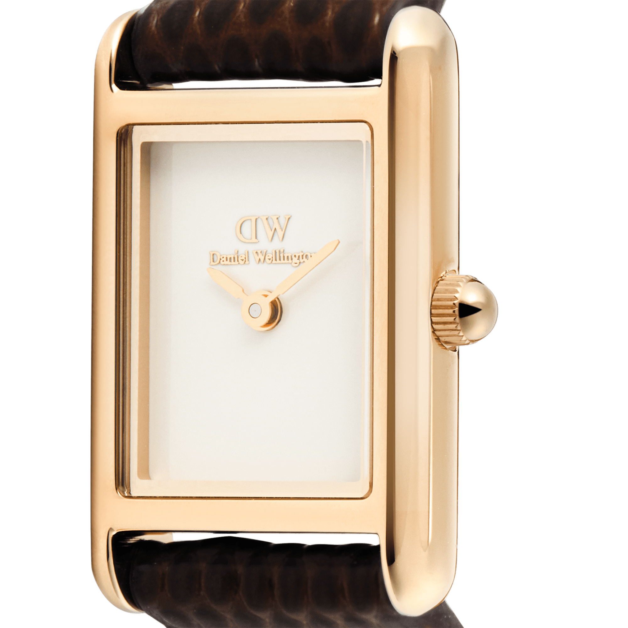Daniel Wellington Bound Mini Dark Brown Lizard Rose Gold